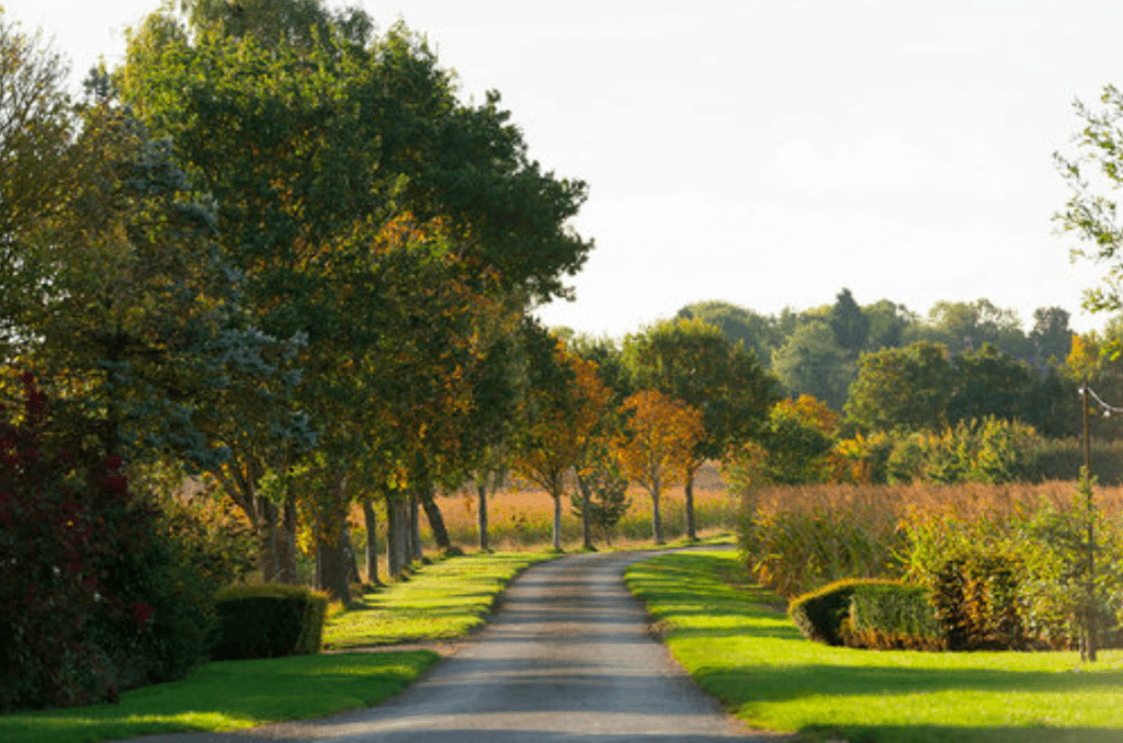 The sweeping drive at Norton field